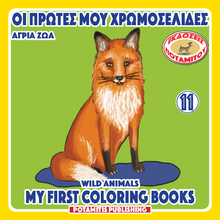 Load image into Gallery viewer, The Greatest Orthodox Coloring Books Value Package! Get ALL 53 Available "Orthodox Coloring Books!"