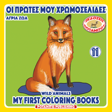 Load image into Gallery viewer, Orthodox Coloring Books - My First Coloring Books #1-12 Full Set - Special Offer